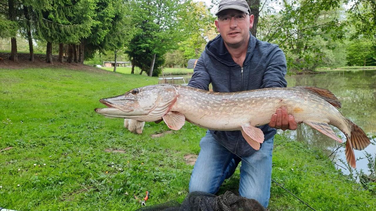Les Etangs Du Moulin D'Harcy Hotel Lonny Luaran gambar
