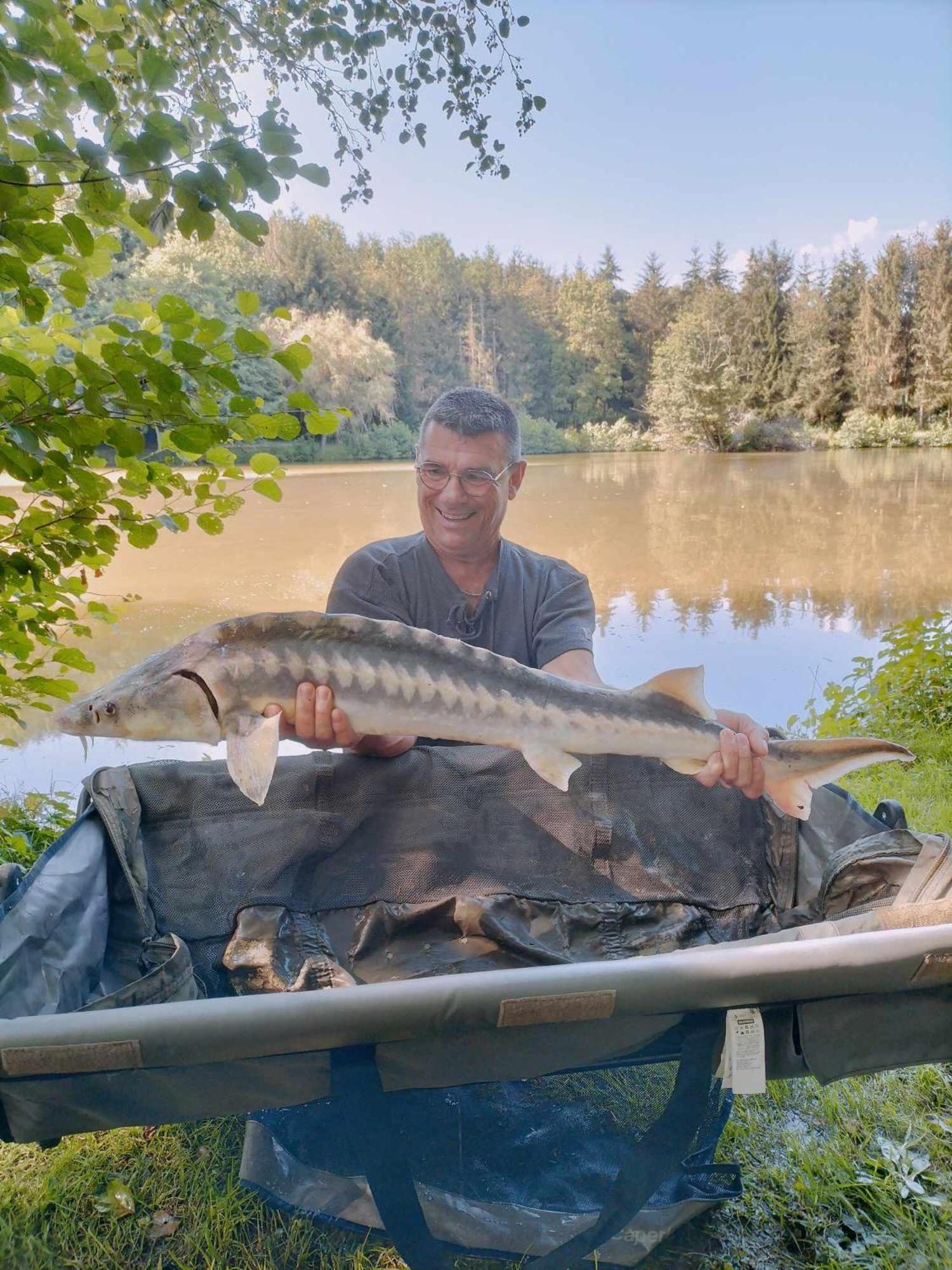 Les Etangs Du Moulin D'Harcy Hotel Lonny Luaran gambar
